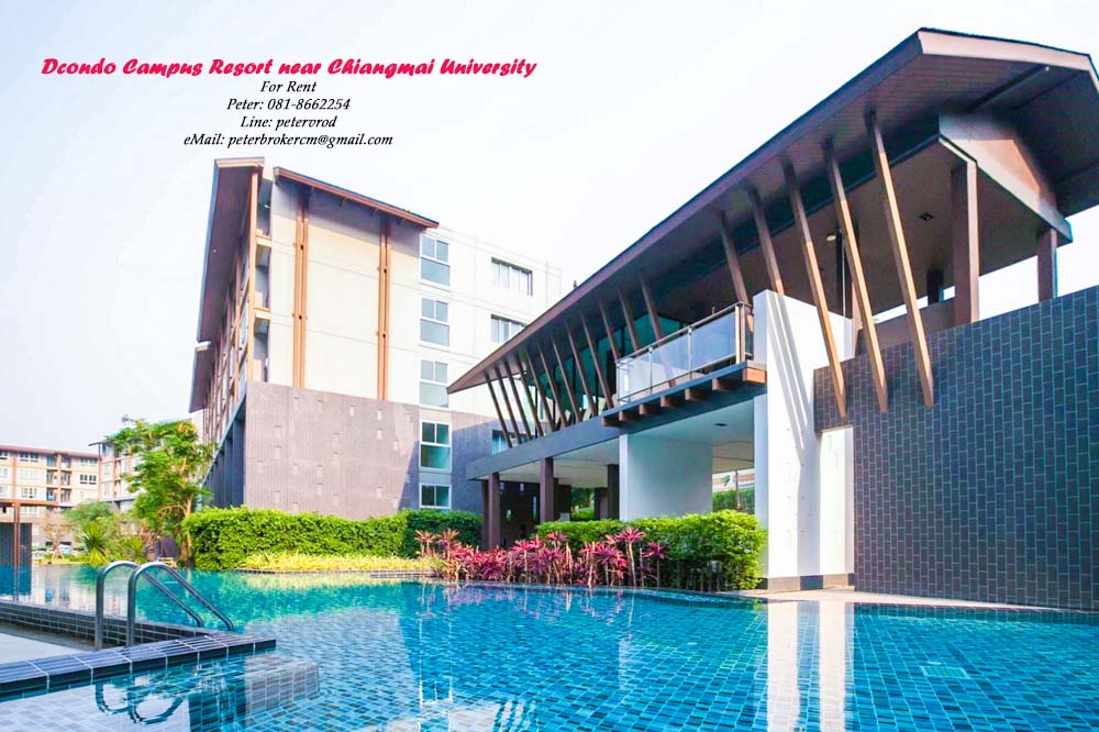 chiang mai condo for rent D Condo Campus Resort Chiangmai