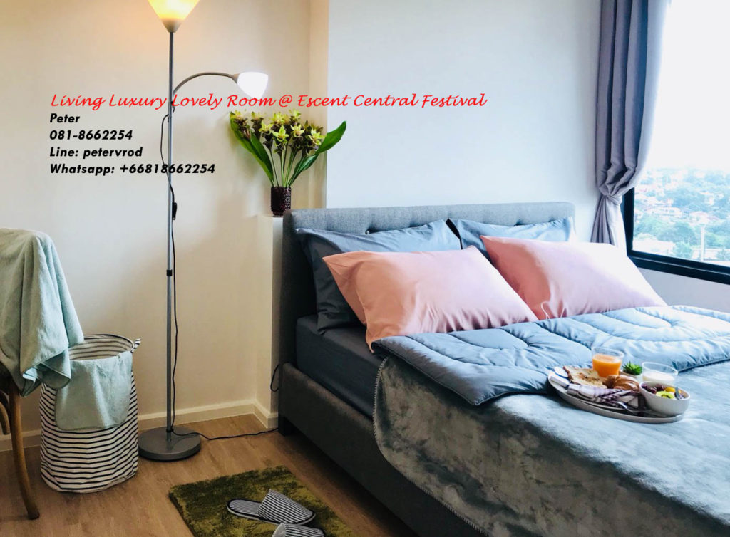 Escent Central Festival Ching Mai room for rent Beautiful 1 bedroom chiang mai