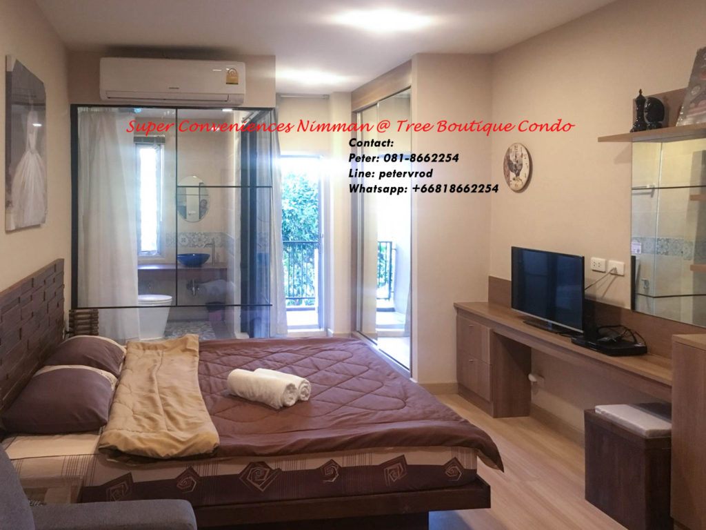 Tree Boutique apartment for sale Nicely Furnished 1 bedroom at chiang mai