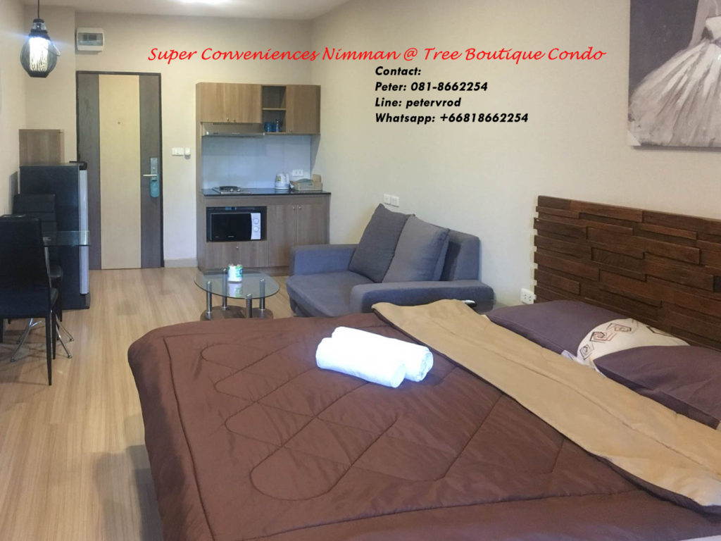 Tree Boutique room for sale Nicely Furnished 1 bedroom chiang mai